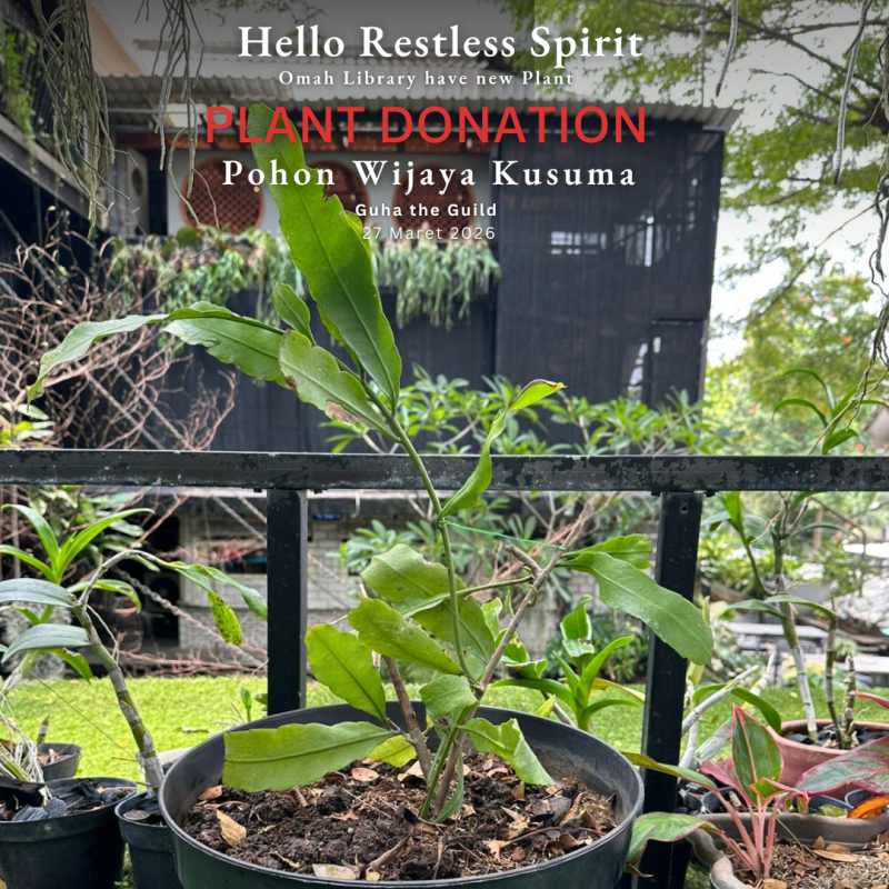 Plant Donation –&nbsp;Trika